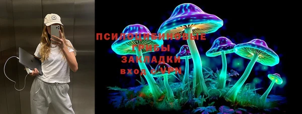 индика Майский