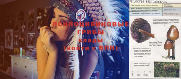 круглые Магас